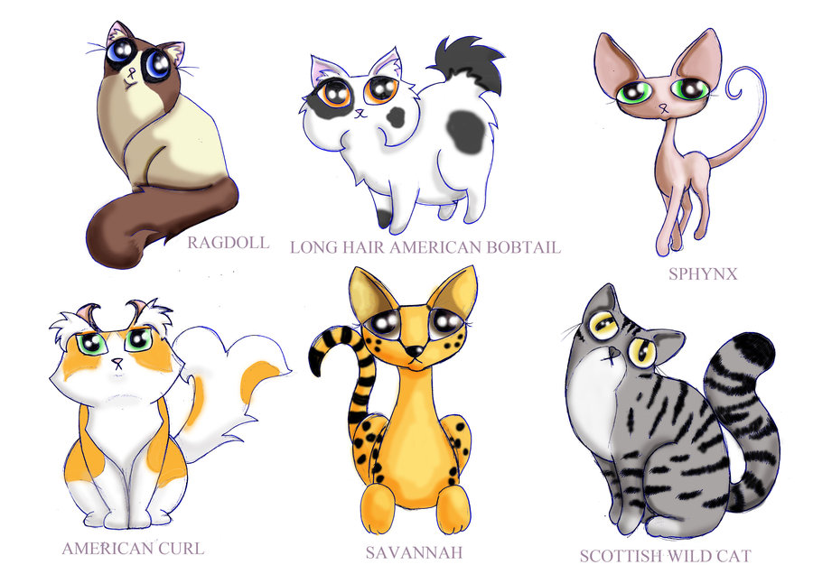 900x636 New Funny Cat Characters By Kingzoidlord - Funny Cat Sketch