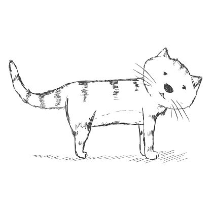 416x416 Vector Sketch Character Funny Cat Stock Vectors - Funny Cat Sketch