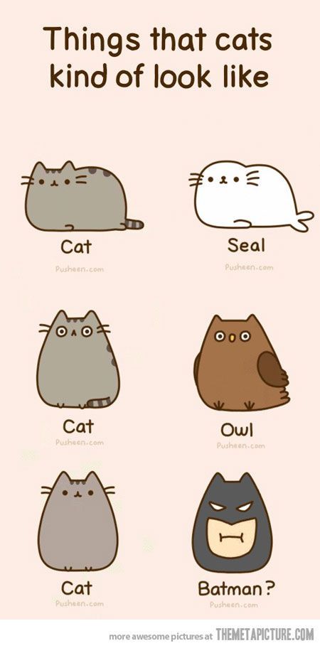 450x912 Funny Cat Drawings Children Cute So Funny! Cats - Funny Cat Sketch