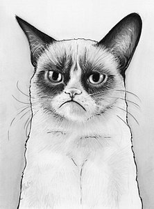 222x300 Funny Cat Drawings Fine Art America - Funny Cat Sketch
