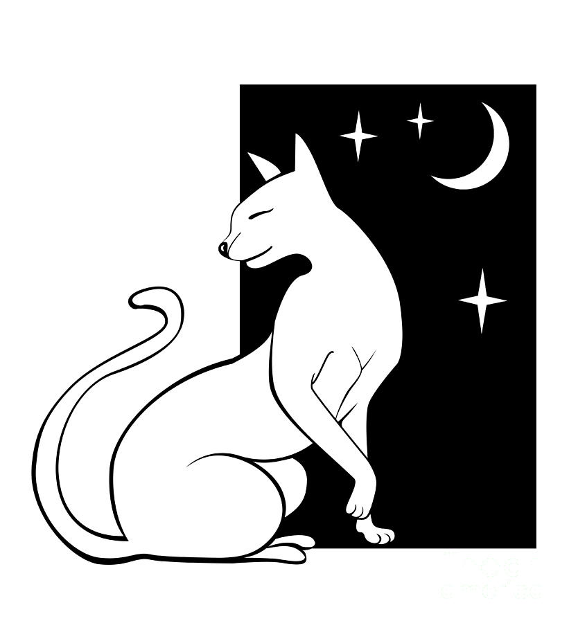 821x900 Funny Cat Sketch Drawing By Oksana Khorkhordina - Funny Cat Sketch