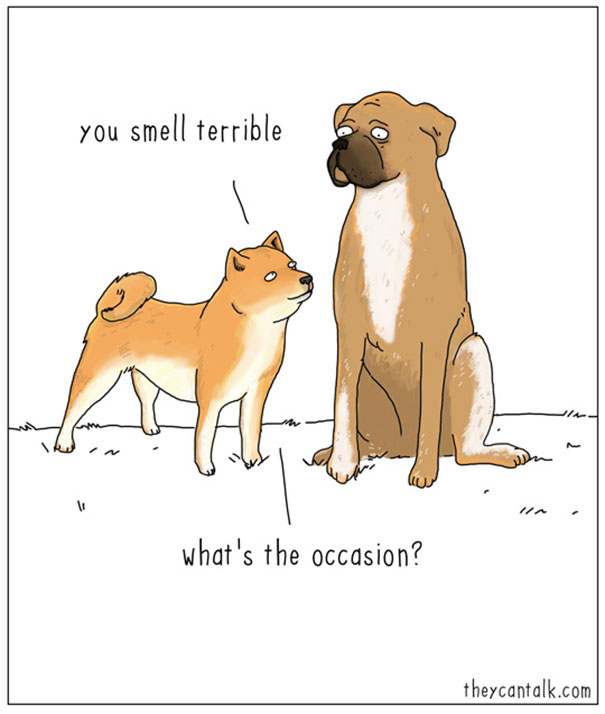 605x714 Funny Animal Comics And Drawings, Courtesy Of They Can Talk - Funny Dog Sketch