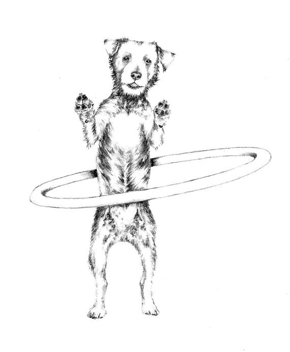 570x690 Hula Hoop Dog Pencil Artwork Hand Drawn Funny Dog Art Etsy - Funny Dog Sketch