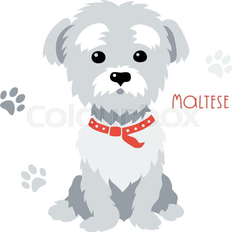 800x800 Sketch Funny Dog Maltese Breed Sitting Hand Drawing Vector Stock - Funny Dog Sketch