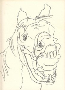 218x300 Funny Horses Drawings Fine Art America - Funny Horse Sketches