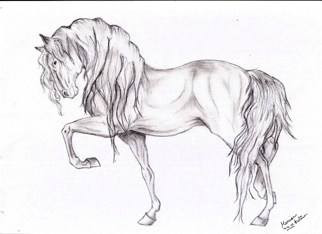 640x465 Funny Horse Drawing Funny Animal - Funny Horse Sketches