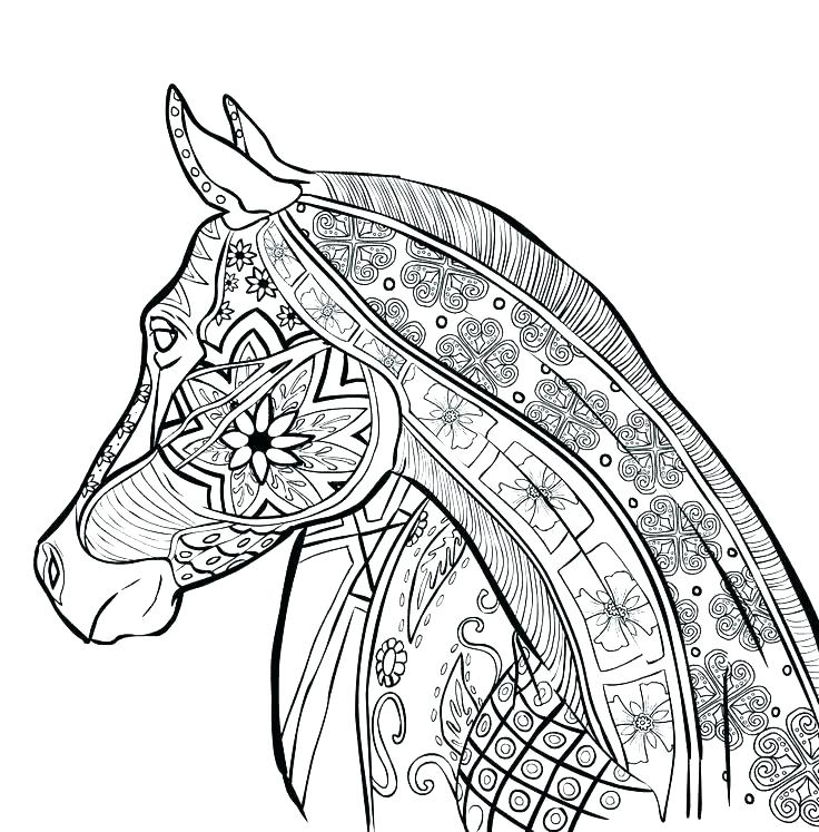 736x747 Horse Head Coloring Pages Coloring Pages Of Horses Printable - Funny Horse Sketches