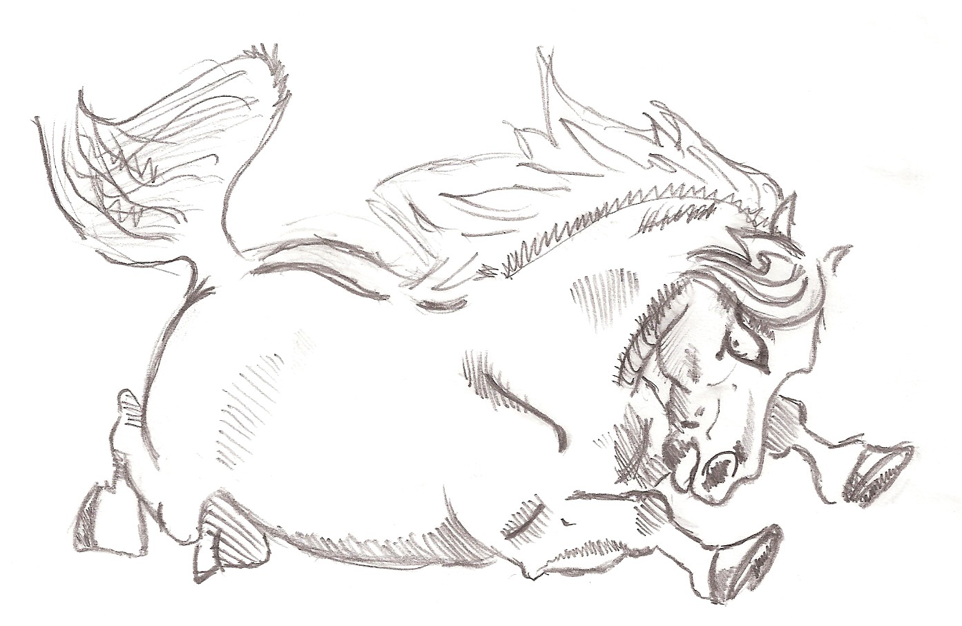 1393x906 Crazy And Funny Drawings, Art Ideas Design Trends - Funny Horse Sketches