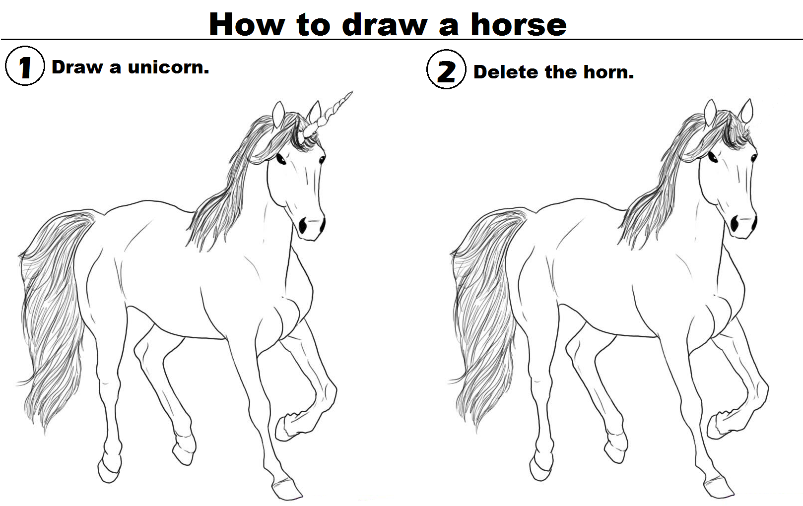 1618x1020 How To Draw A Horse Funny - Funny Horse Sketches