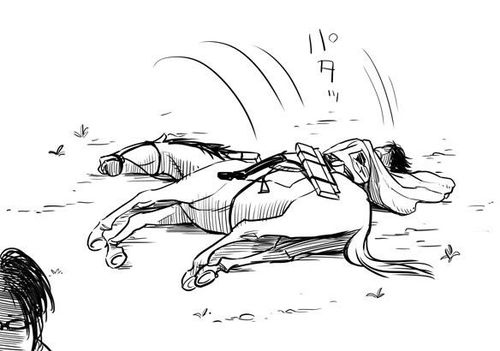 500x351 Hanjilevi....please No Shared By Luna On We Heart It - Funny Horse Sketches