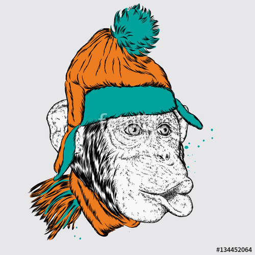 500x500 Funny Monkey In A Hat. Vector Illustration For A Card Or Poster - Funny Monkey Sketch