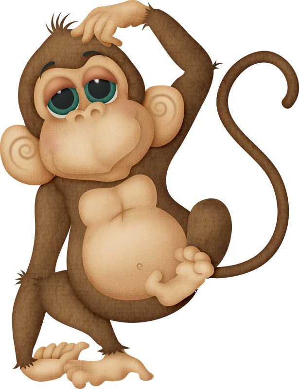 615x800 Realistic Monkey - Funny Monkey Sketch