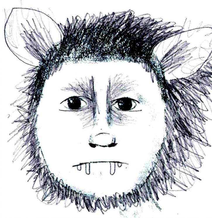 725x746 Would You Recognize This Suspect 14 Funny Police Sketches - Funny Suspect Sketch