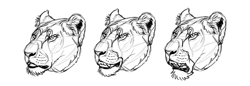 850x293 How To Draw Furries, Aka Anthropomorphic Characters - Furry Sketch