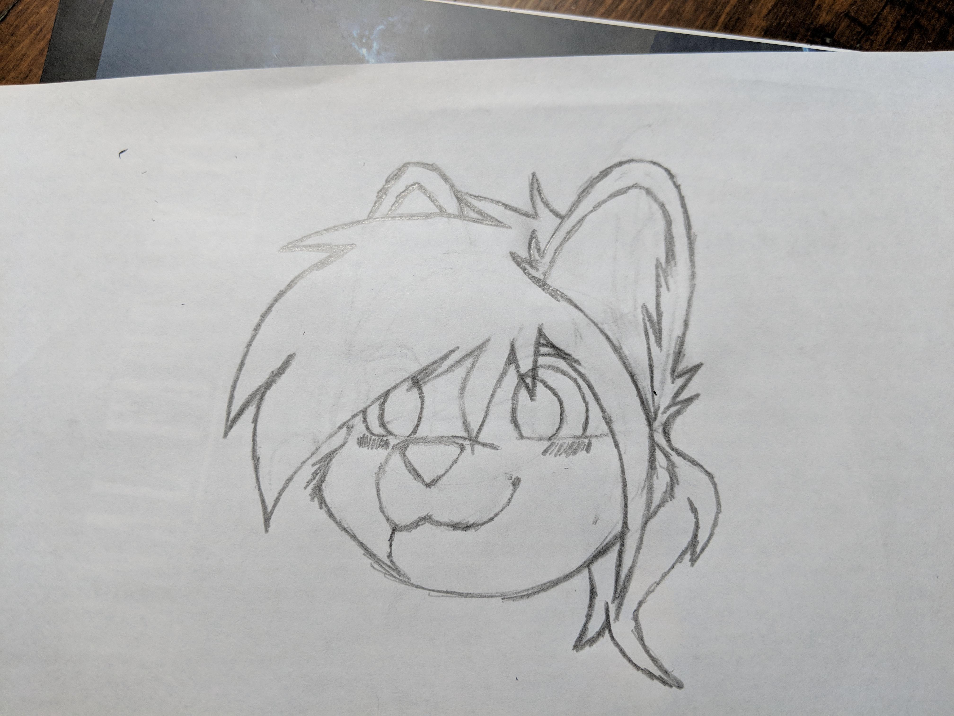 4032x3024 Watched A Few Tutorials, Second Attempt - Furry Sketch