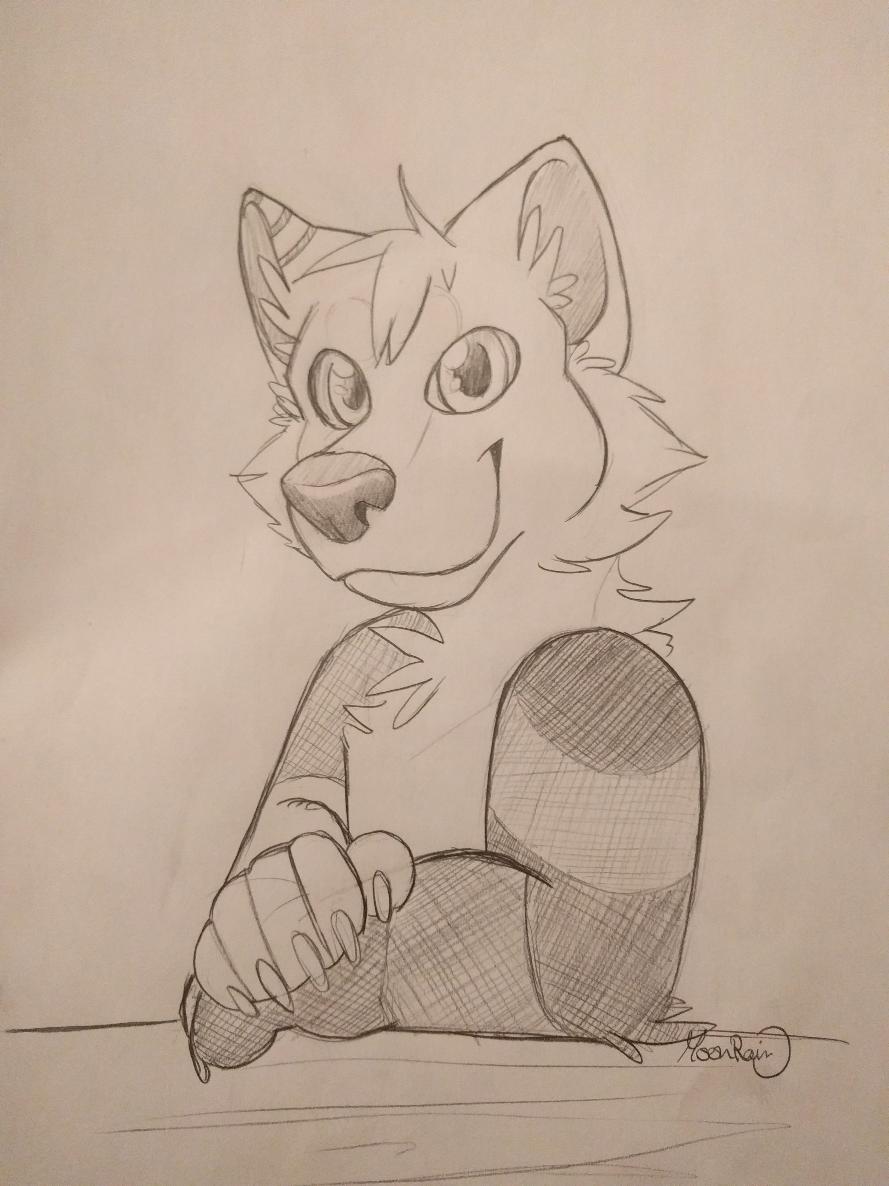 3024x4032 Furry Drawing - Furry Sketch