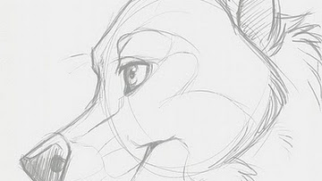 360x203 All Galaxy Note Sketches - Galaxy Sketch