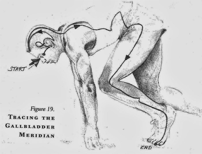 700x534 Feeling Angry - Gallbladder Sketch