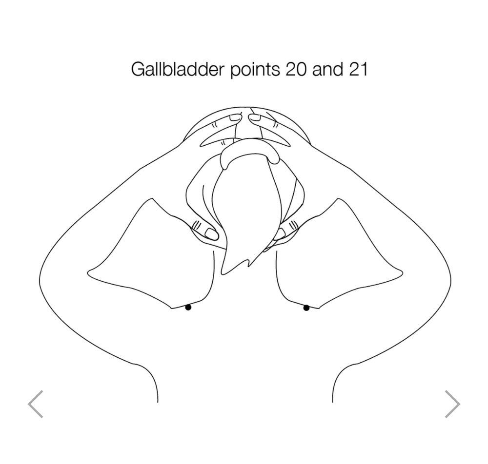 1000x952 Hanako Therapies [Gall Bladder Meridian] The Ginger Apothecary - Gallbladder Sketch