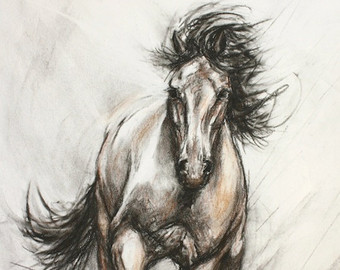 340x270 Drawn Horse Horse Hair - Galloping Horse Sketch