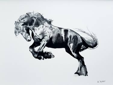 375x282 Galloping Horse Drawings For Sale Saatchi Art - Galloping Horse Sketch