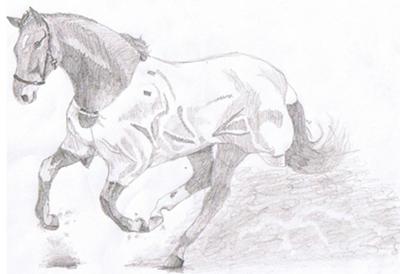 400x274 Galloping Horse - Galloping Horse Sketch