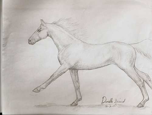500x379 Galloping Horse - Galloping Horse Sketch