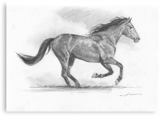 550x401 Galloping Horse Drawing Canvas Prints By Mike Theuer Redbubble - Galloping Horse Sketch