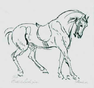 318x300 Horse Engravings - Galloping Horse Sketch