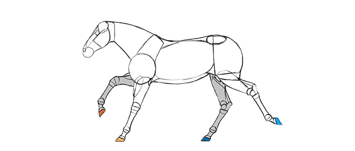700x298 How To Draw And Animate Horses From Trot To Gallup - Galloping Horse Sketch