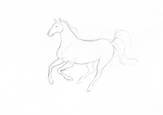 570x403 Minimalist Pencil Drawing Galloping Horse Sketch By Intuicio - Galloping Horse Sketch