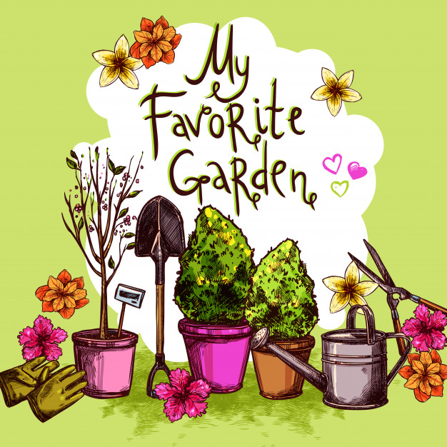 626x626 Garden Sketch Set Vector Free Download - Garden Sketch