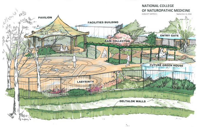 668x432 Seasons Garden Design Project - Garden Sketch