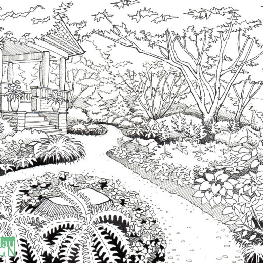 520x520 Garden Sketch Drawntogarden - Garden Sketch