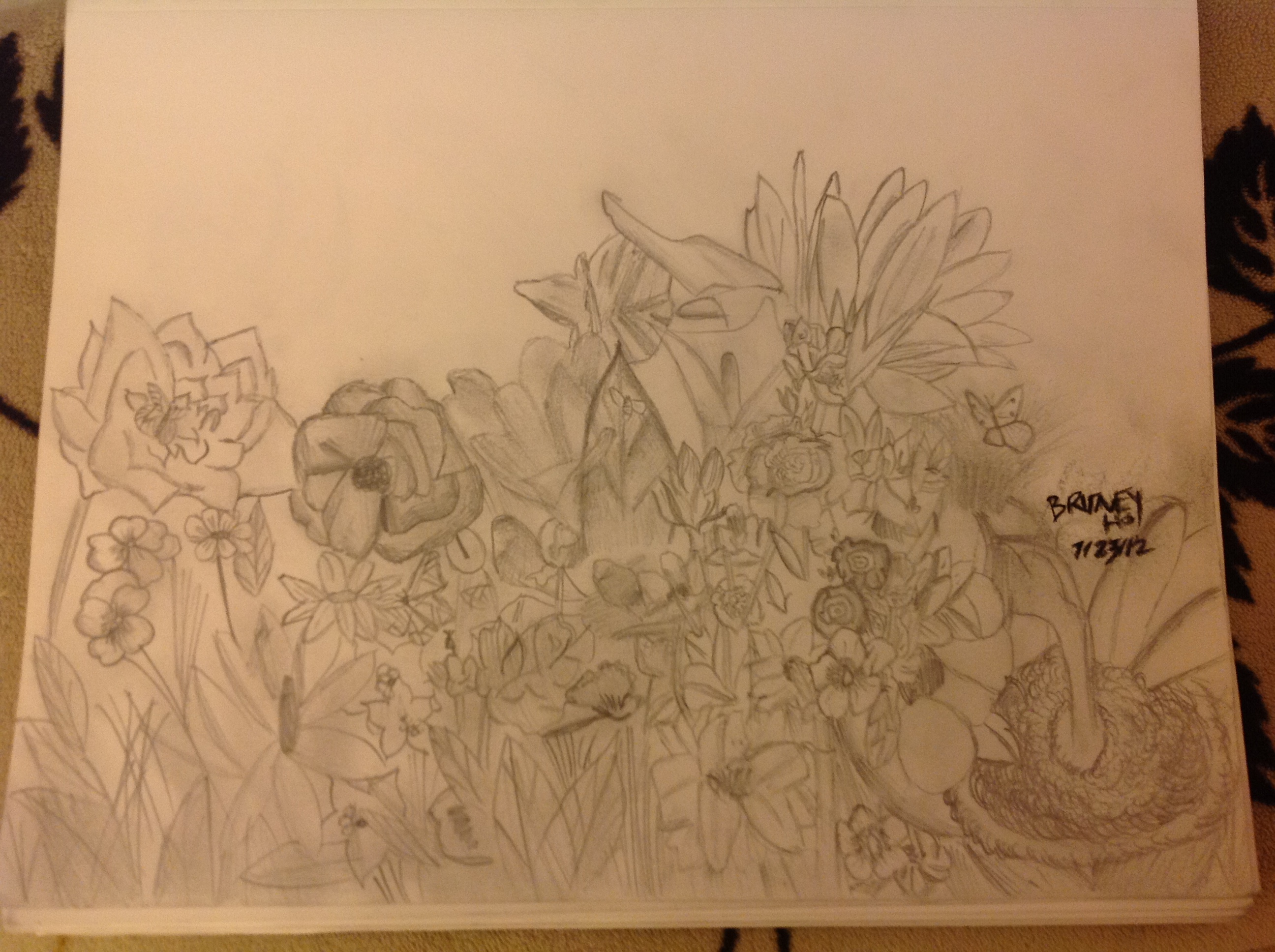 2592x1936 A Flower Garden Drawing - Garden Sketch Easy