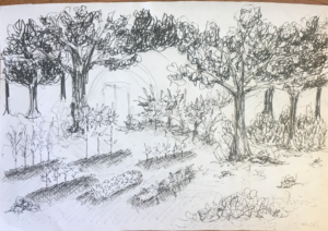 300x212 Dream Gardens - Garden Sketch For Kids