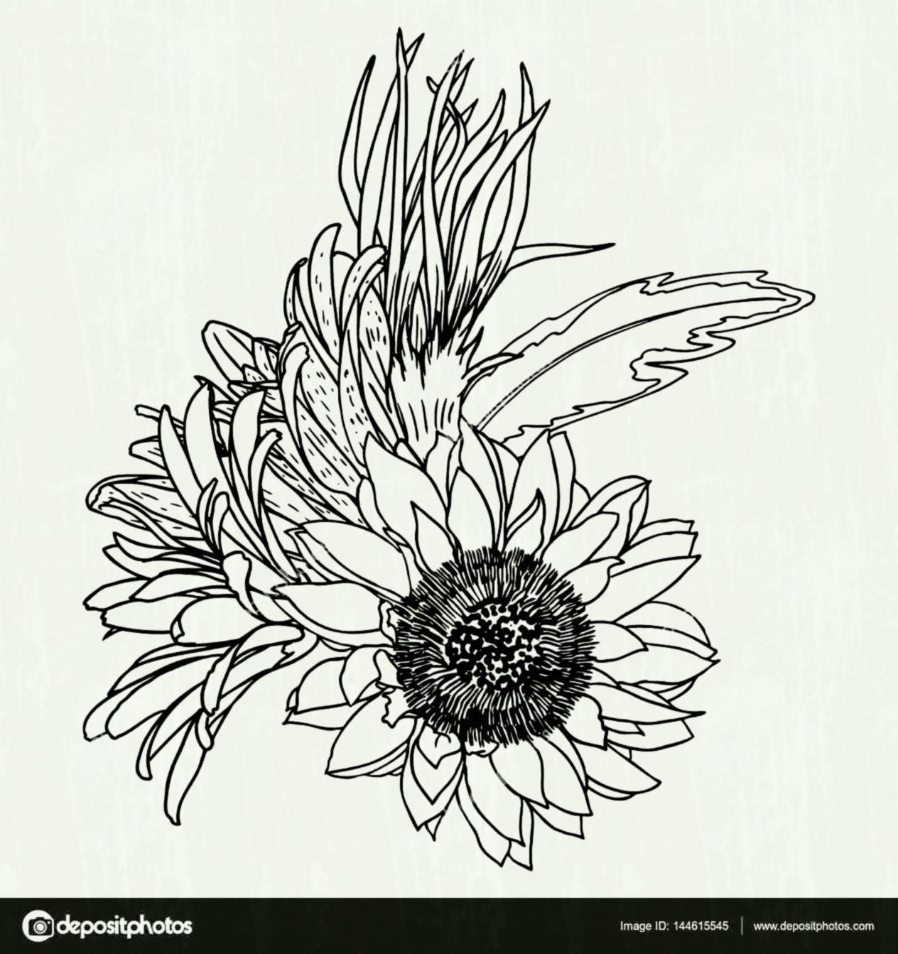 1264x1343 Flower Garden Drawing Easy - Garden Sketch For Kids