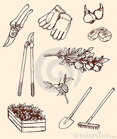 377x450 Hand Drawn Garden Tools Sketchdraw Drawings - Garden Tools Sketch