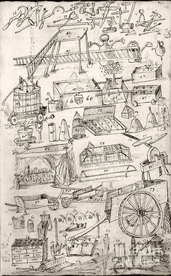 558x900 Garden Tools, 17th Century Photograph By British Library - Garden Tools Sketch