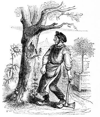 350x408 The Fables Of Florian (Tr. Phelps)the Gardener And The Aged Tree - Gardener Sketch
