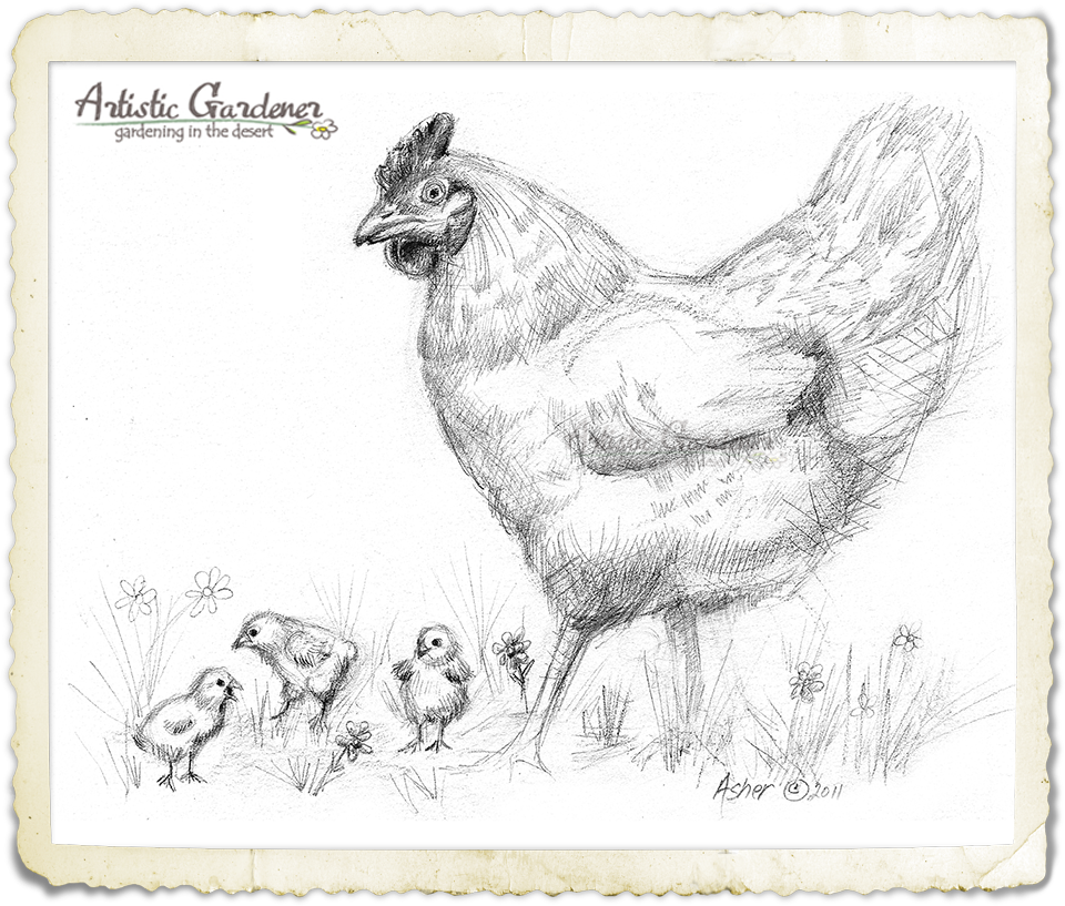 960x817 Garden Sketches Artistic Gardener - Gardener Sketch