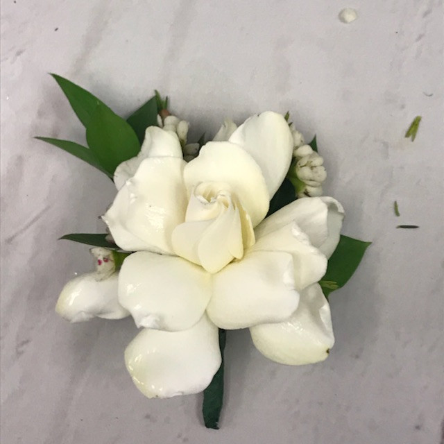 640x640 Gardenia Boutonniere In Beachwood, Oh Paradise Flower Market - Gardenia Flower Sketch