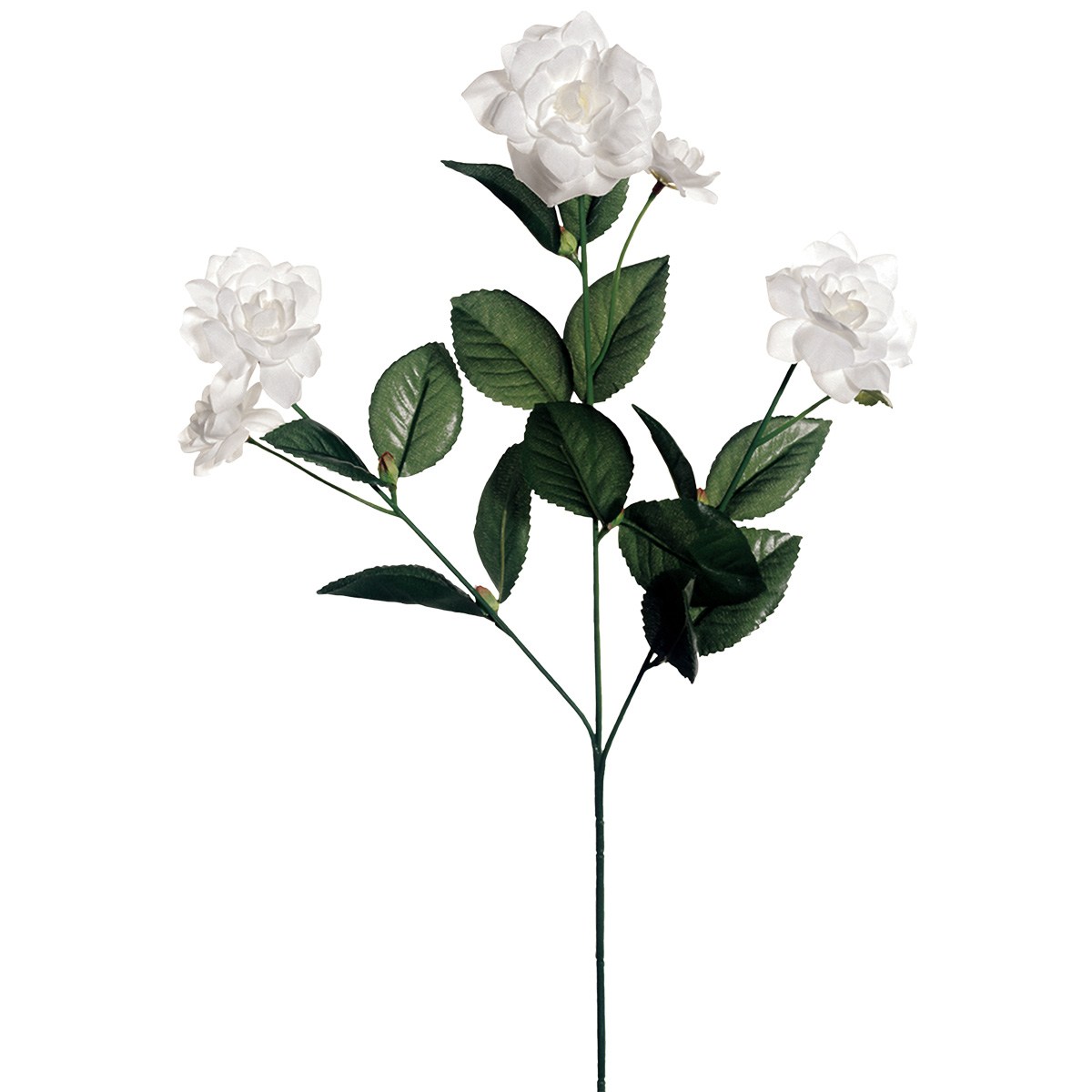 1200x1200 Gardenia Flower Sketch Gardening Flower And Vegetables - Gardenia Flower Sketch