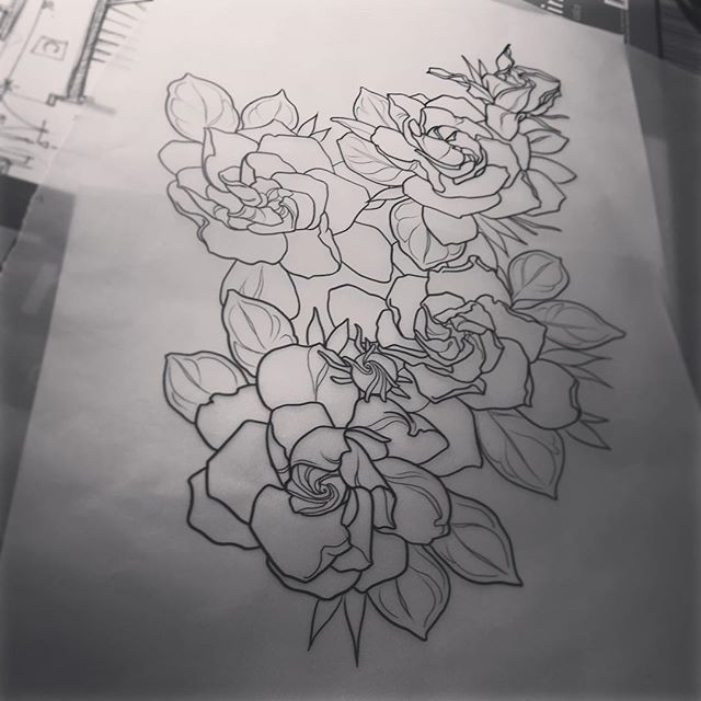 Gardenia Flower Sketch at PaintingValley.com | Explore collection of ...