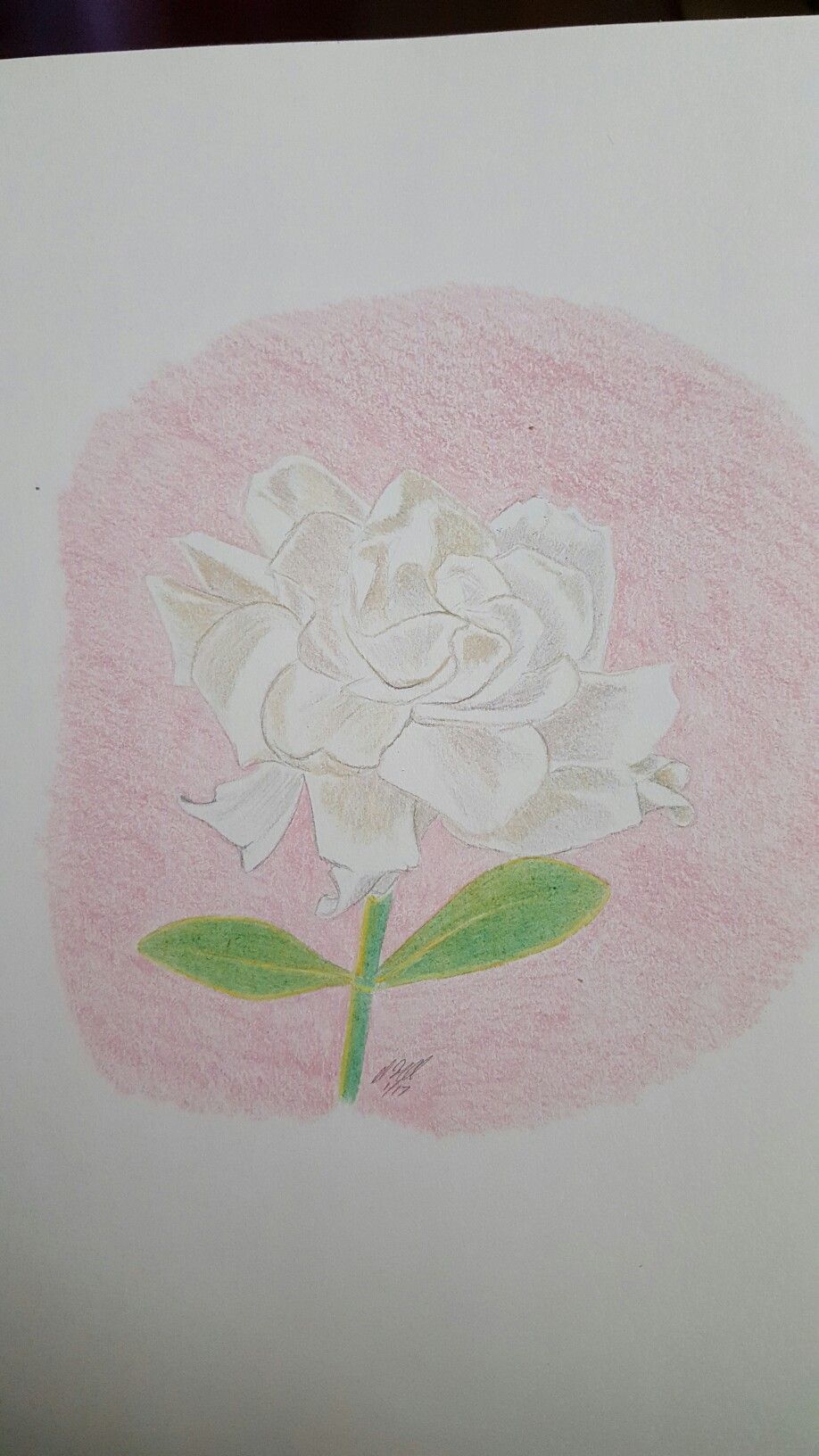 918x1632 Gardenia Sketch Post Tbi Art Gardenias And Sketches - Gardenia Sketch