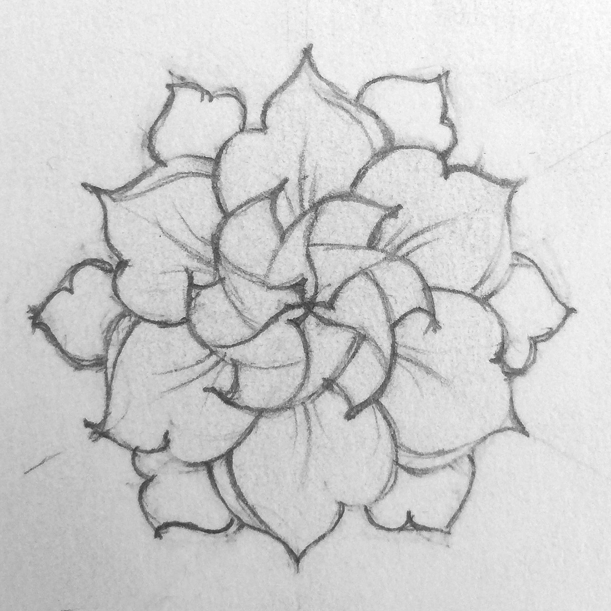 1200x1200 Gabriel Meave - Gardenia Sketch