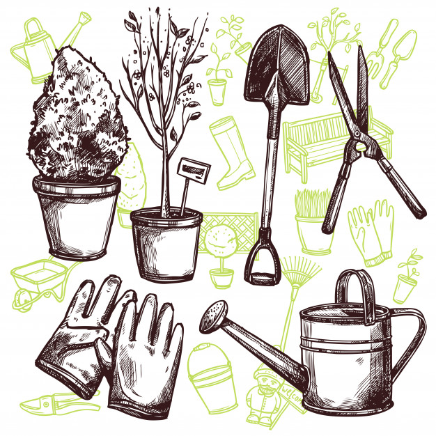 626x626 Garden Tools Sketch Concept Vector Free Download - Gardening Tools Sketch