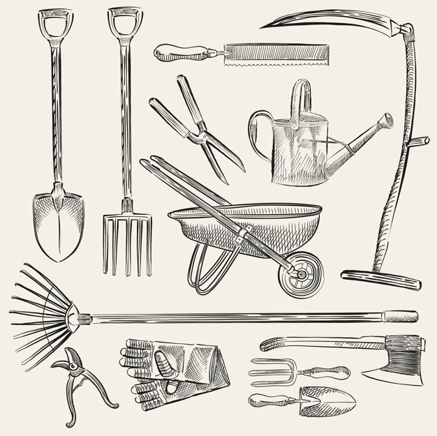 626x625 Garden Tools Vectors, Photos And Psd Files Free Download - Gardening Tools Sketch