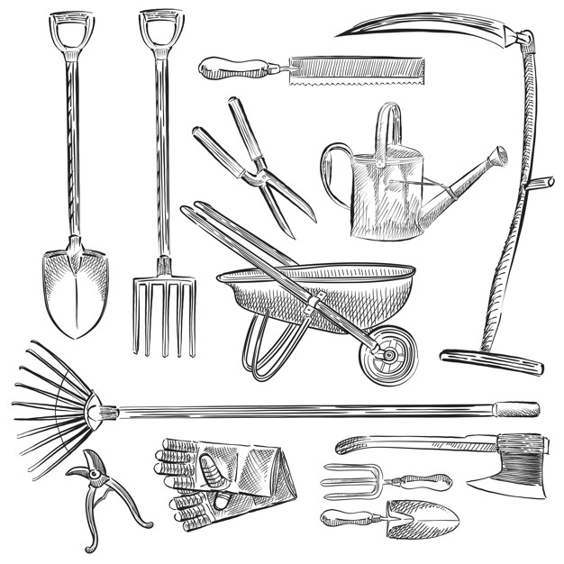 626x626 Illustration Of A Set Of Gardening Tools Vector Free Download - Gardening Tools Sketch