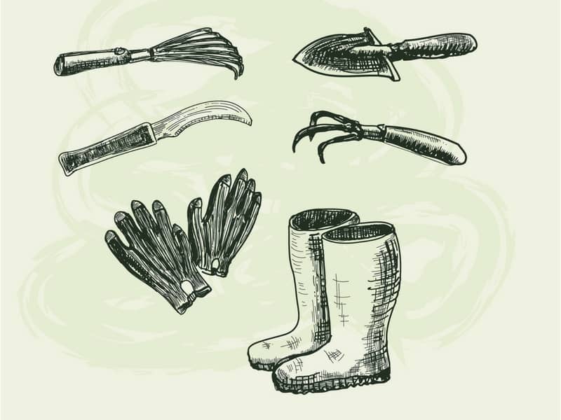 800x600 Must Have Garden Tools And Accessories For Small Gardens - Gardening Tools Sketch